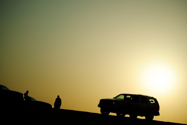 Desert Silhouette