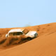dubai safari