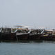 musandam dibba trip
